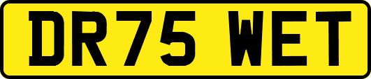 DR75WET