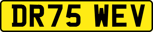 DR75WEV