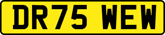 DR75WEW