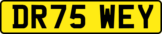 DR75WEY