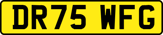 DR75WFG