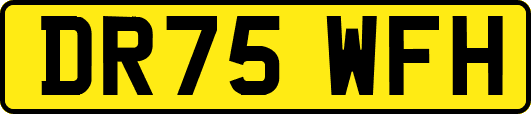 DR75WFH
