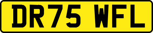 DR75WFL
