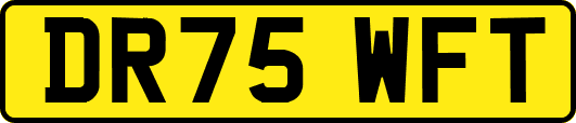 DR75WFT