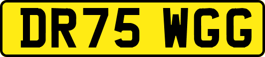 DR75WGG