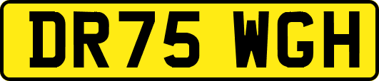 DR75WGH