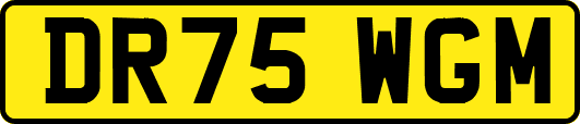 DR75WGM