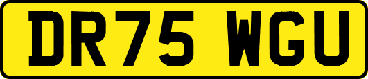 DR75WGU