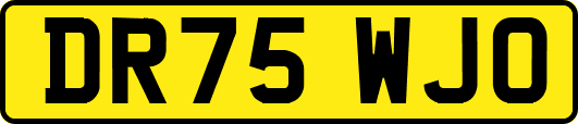 DR75WJO