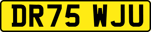DR75WJU
