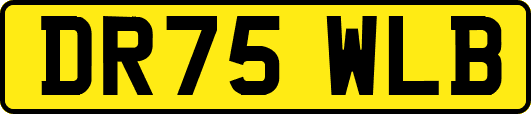 DR75WLB