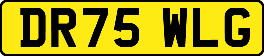 DR75WLG