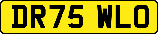 DR75WLO