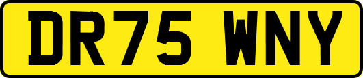 DR75WNY
