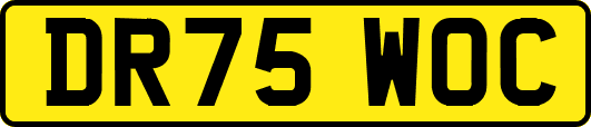DR75WOC