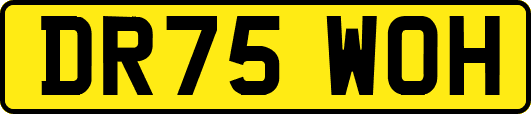 DR75WOH