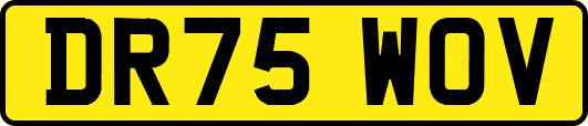 DR75WOV