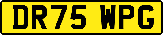 DR75WPG