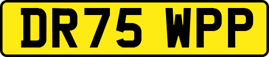DR75WPP