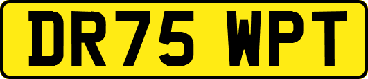 DR75WPT