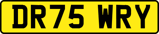 DR75WRY