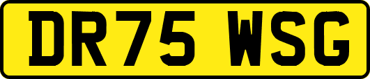 DR75WSG