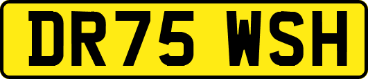 DR75WSH