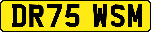 DR75WSM