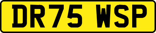 DR75WSP