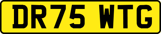 DR75WTG