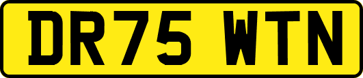 DR75WTN
