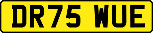 DR75WUE