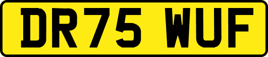 DR75WUF