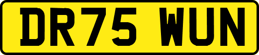 DR75WUN