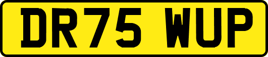 DR75WUP