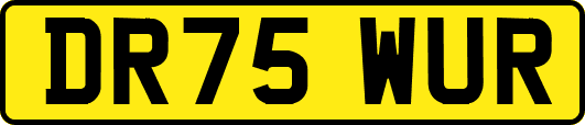 DR75WUR