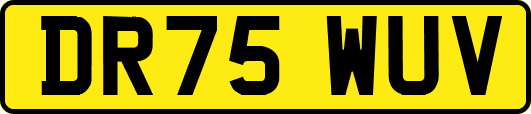 DR75WUV