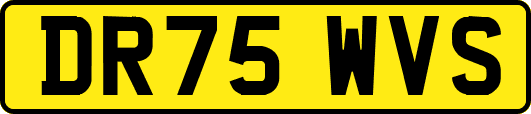 DR75WVS