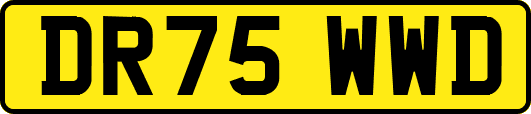DR75WWD