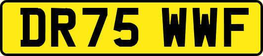 DR75WWF