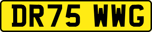 DR75WWG