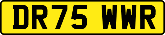 DR75WWR