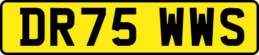 DR75WWS