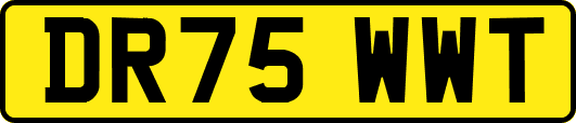 DR75WWT