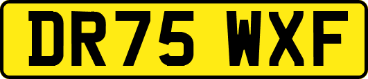 DR75WXF