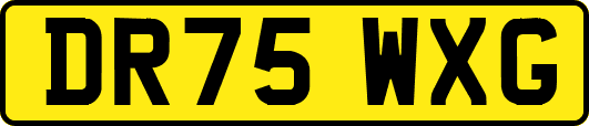 DR75WXG