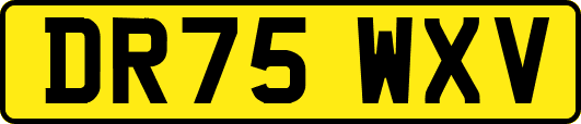 DR75WXV