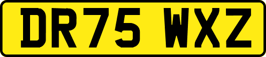 DR75WXZ