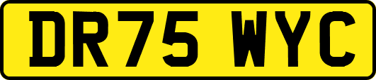 DR75WYC