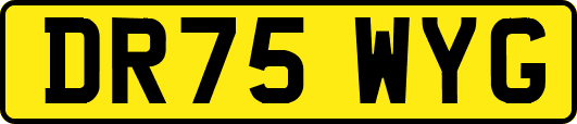 DR75WYG